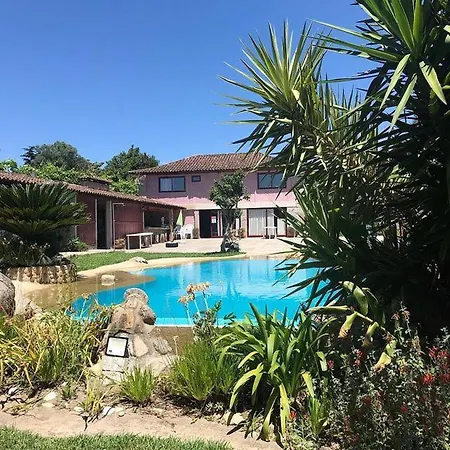 Bed & Breakfast Presidential With Pool& Outside Kitchen