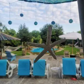 Bed & Breakfast Presidential With Pool& Outside Kitchen *
